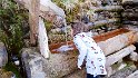 Val di Rabbi (8)